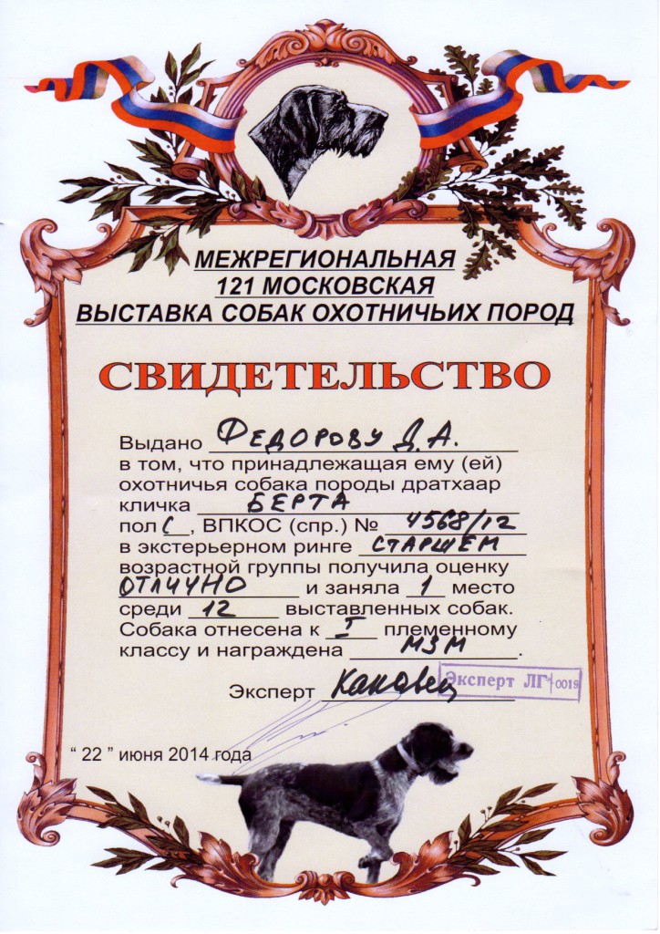 121-я Московская областная выставка охотничьих собак_Берта