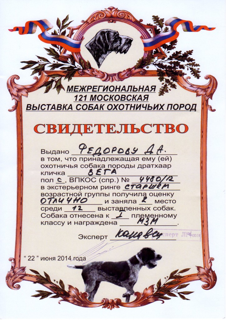 121-я Московская областная выставка охотничьих собак_Вега